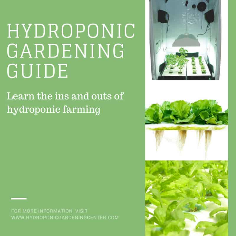 Hydroponics Gardening Guide